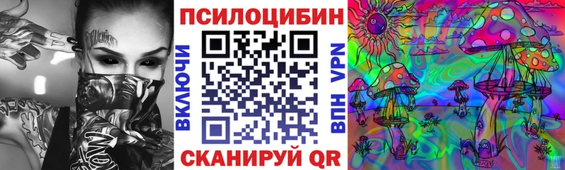 сколько стоит  Верхоянск  маркетплейс как зайти  Галлюциногенные грибы MAGIC MUSHROOMS 